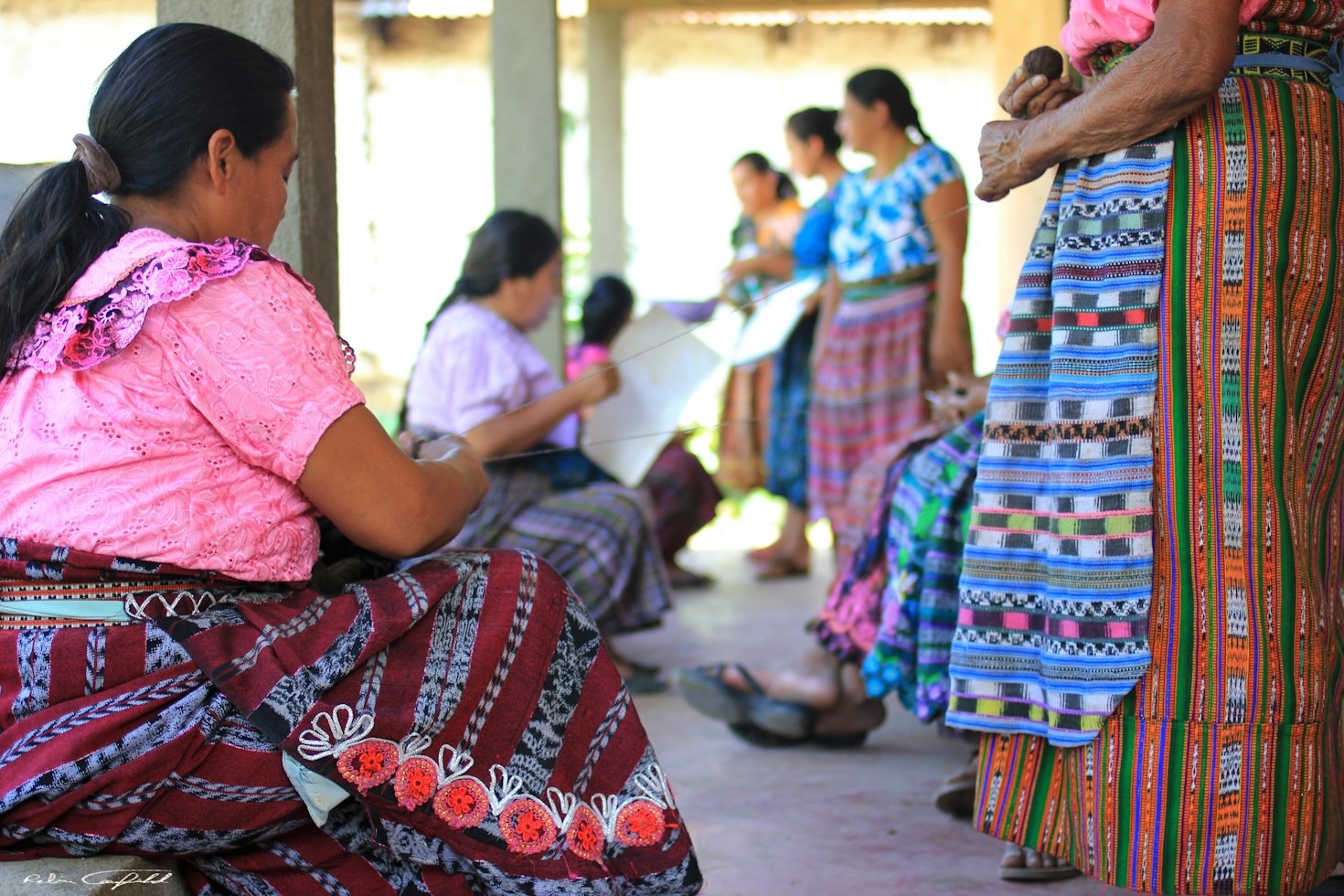 O Papel dos Saberes Populares no Futuro da Amazônia
